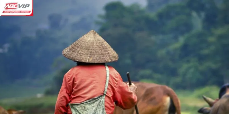 Hoạt động ý nghĩa ABCVIP đóng góp cho xã hội